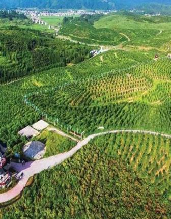 北部地块规划定位